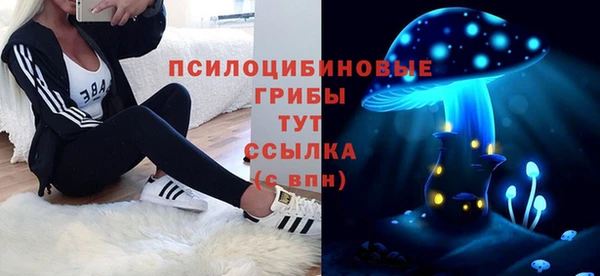 mdpv Михайлов