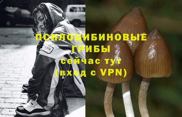 мяу мяу мука Михайловка